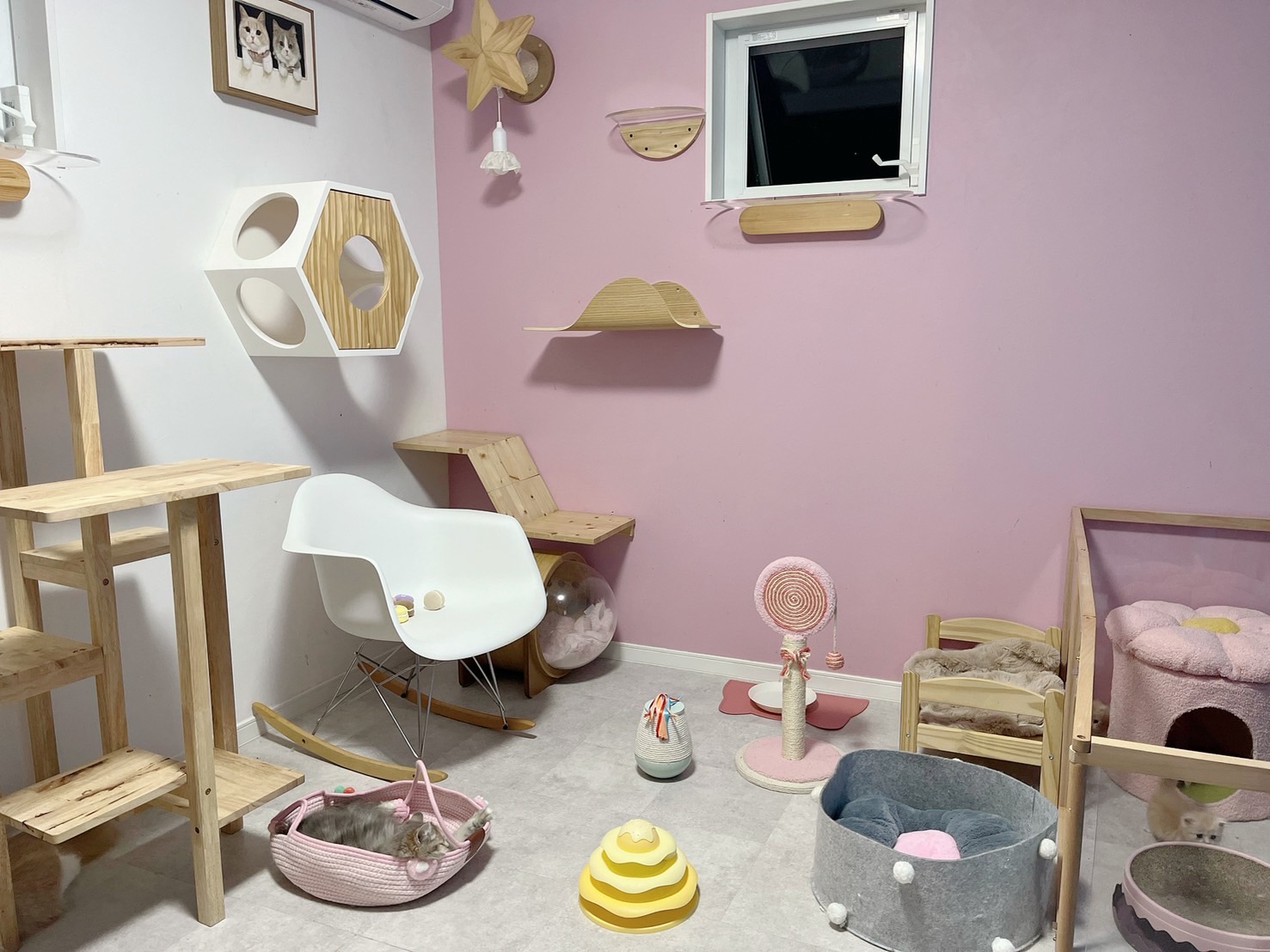 女の子部屋