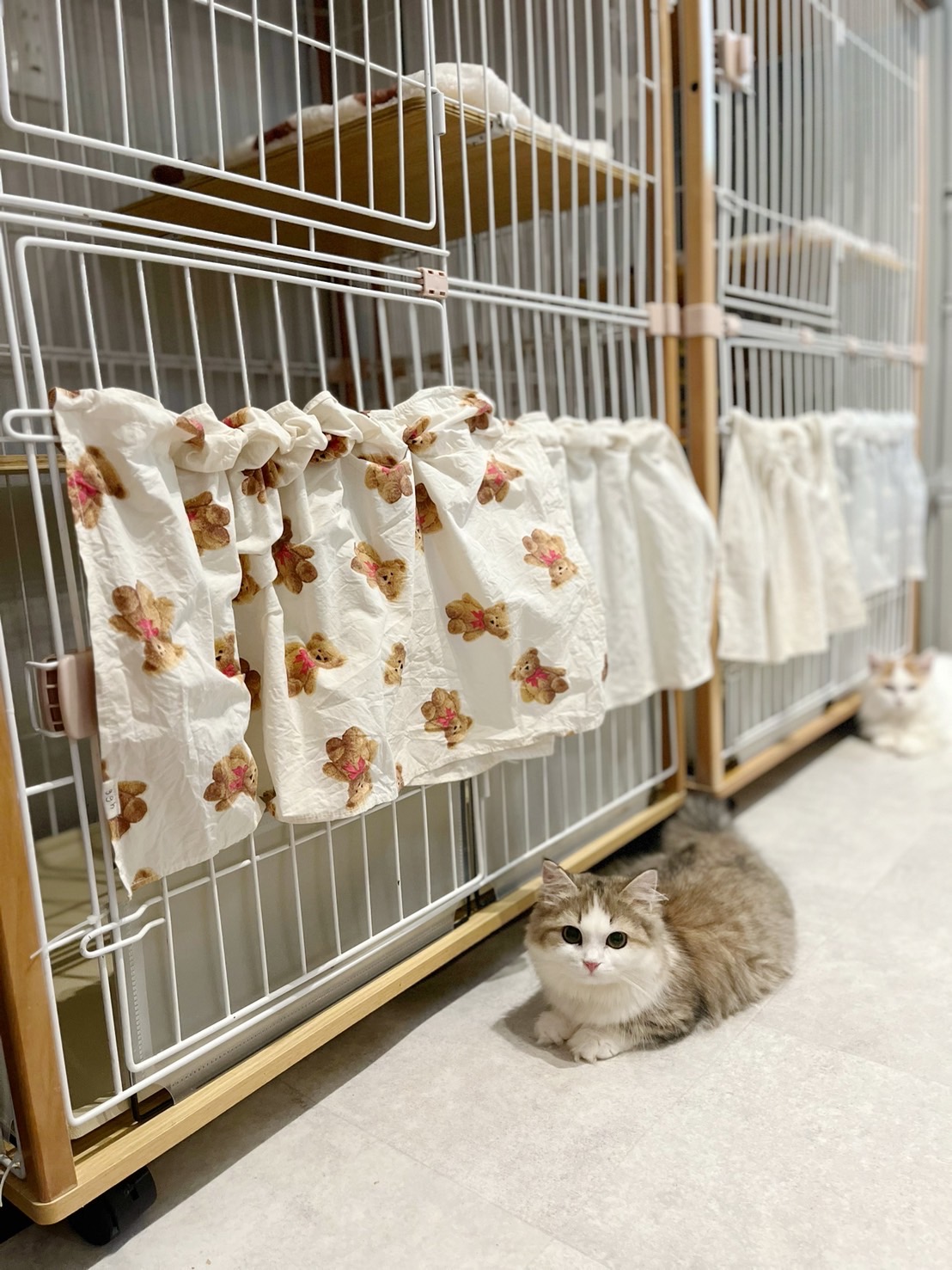 お産室